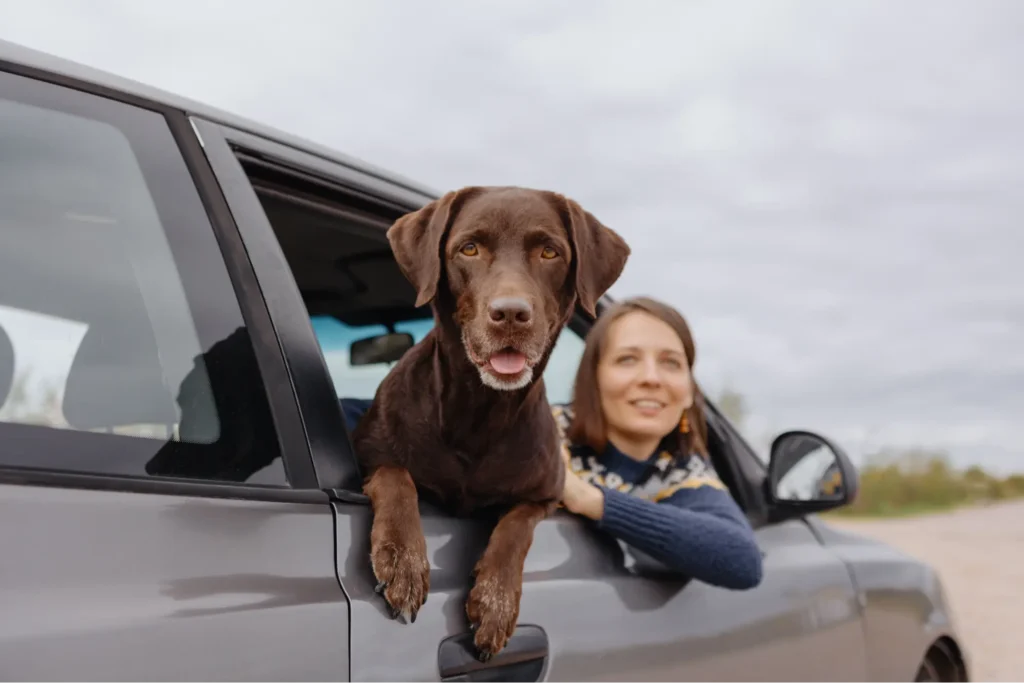 Woman and dog hanging out car window